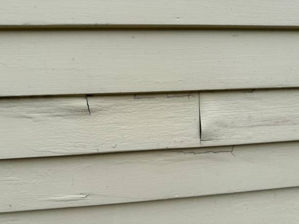 Affordable siding repair and maintenance services in Madeira Beach, FL